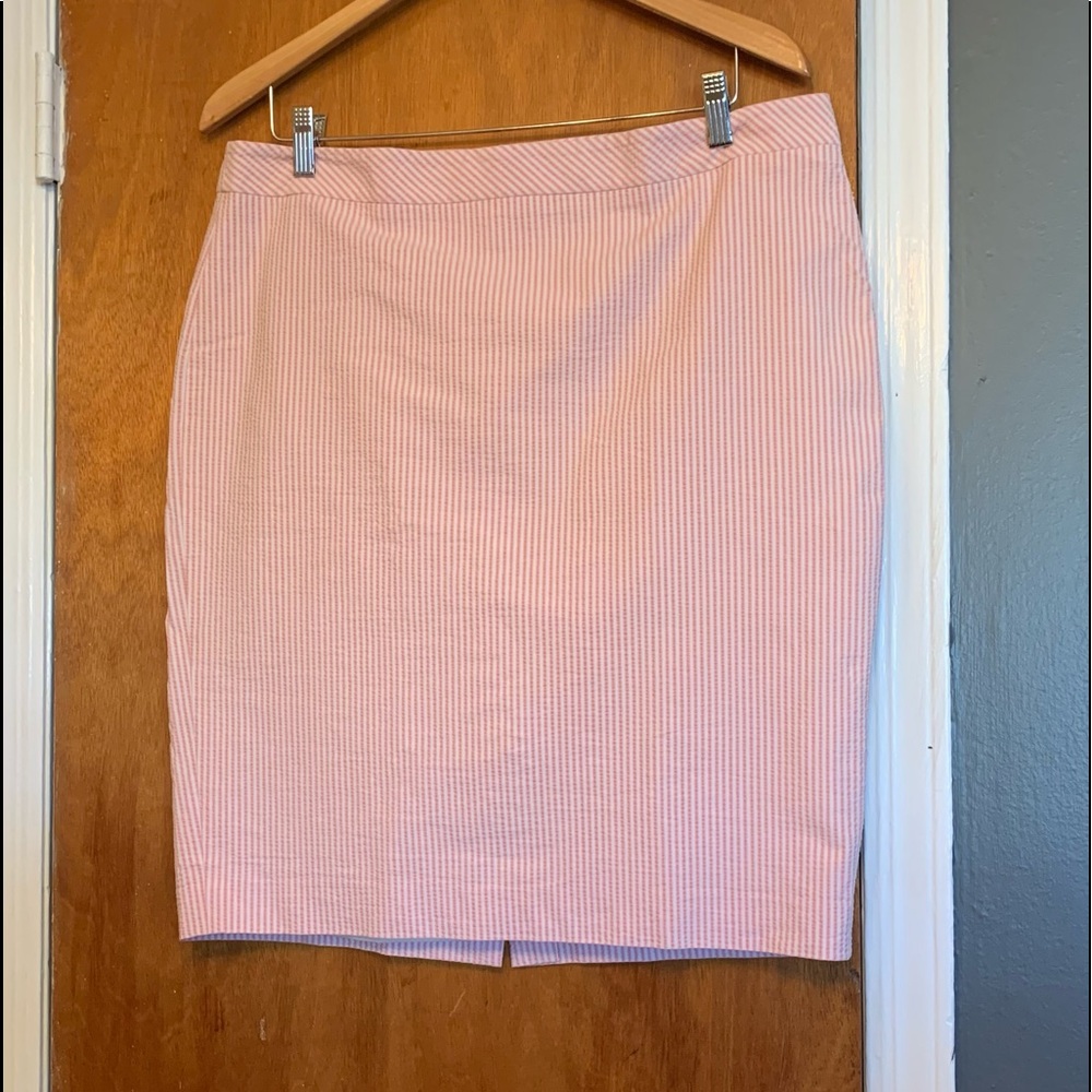 Ann Taylor skirt!